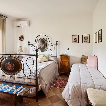 Poliflora * Монтичелло