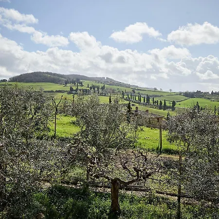 Poliflora Монтичелло