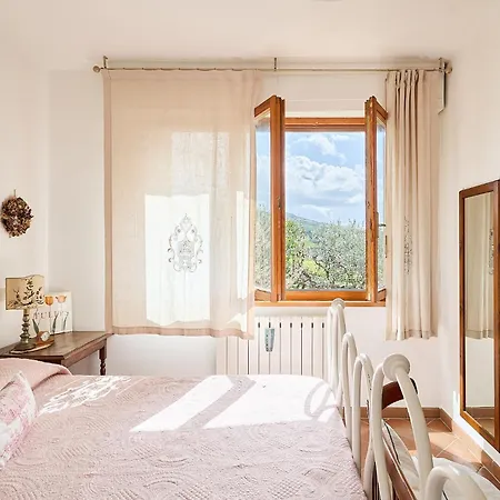 Poliflora Монтичелло